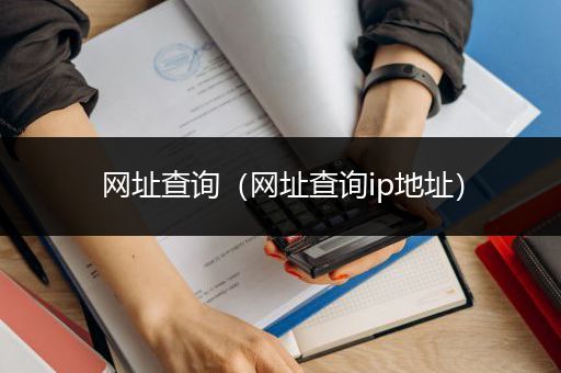 网址查询（网址查询ip地址）